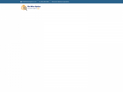 thewiseoptions.com snapshot