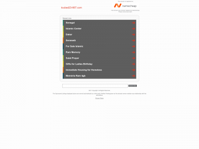 toubad23-667.com snapshot