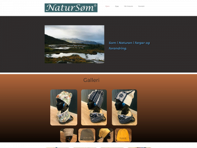 natursom.no snapshot