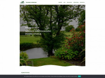 zeldinimosprendimai.lt snapshot
