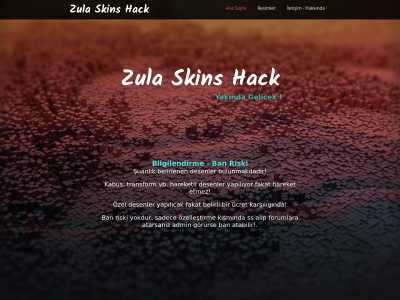 zulaskins.net snapshot