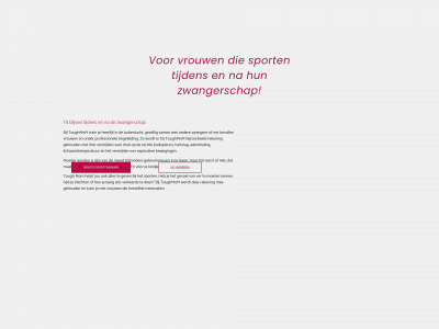 toughmom.nl snapshot