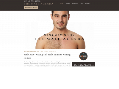 themaleagenda.co.uk snapshot