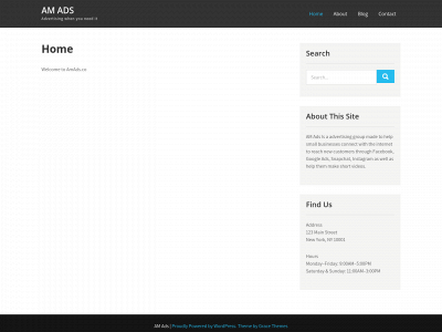 amads.co snapshot