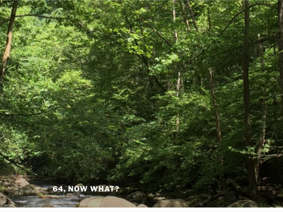 64nowwhat.com snapshot