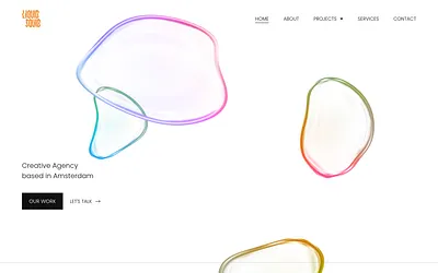 liquidsquid.nl snapshot