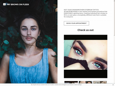 getmybrowsonfleek.weebly.com snapshot