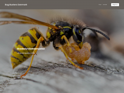 bugbustersdanmark.dk snapshot
