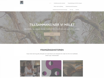 multidimensionellterapi.se snapshot