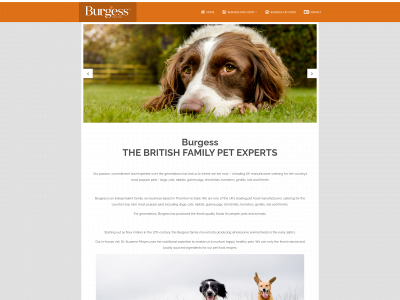 burges.dk snapshot