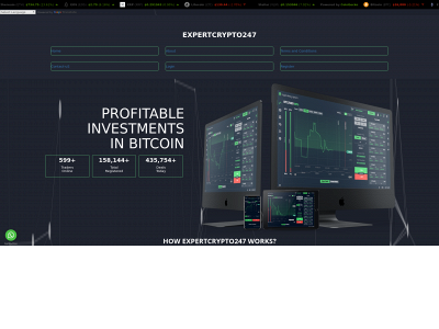 expertcrypto247.com snapshot