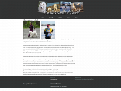 bielkersmils.com snapshot