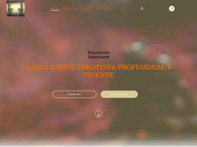 www.carlaramostarotista.es snapshot