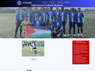 bluestaracademy.dk snapshot