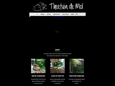 theetuindemol.nl snapshot