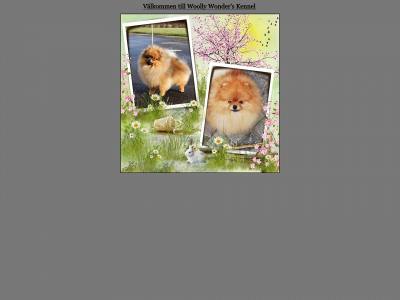 woollywonders.se snapshot