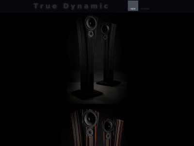 truedynamic.dk snapshot