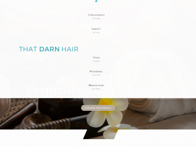 thatdarnhair.com snapshot