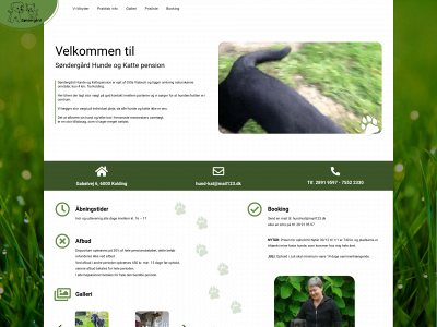 soendergaard-pension.dk snapshot
