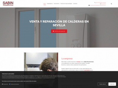 www.sabinpiscinas.es snapshot