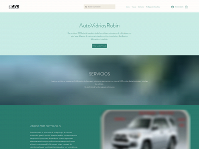 autovidriosrobin.com snapshot