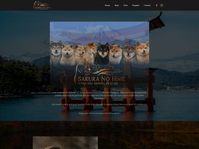 shibas.one snapshot