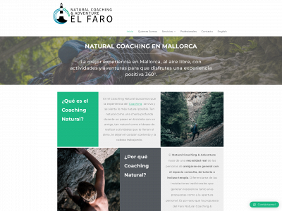 elfaroconsultoria.com snapshot