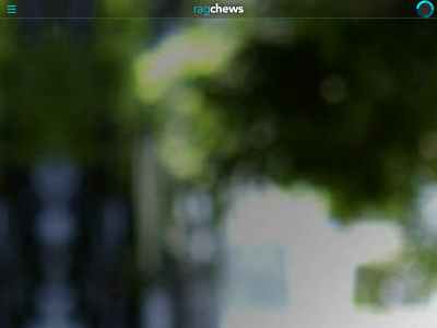 ragchews.com snapshot
