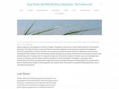 www.fridmanlab.com snapshot