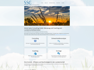 schick-swiss-consulting.ch snapshot