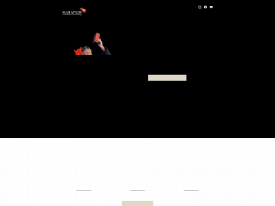 support-fx.de snapshot