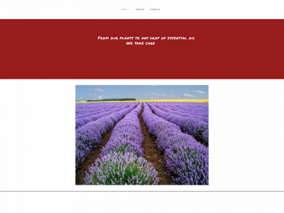 bgessentialoils.simplesite.com snapshot