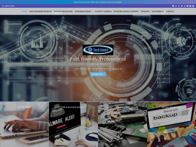 techsmartcomputerrepair.com snapshot