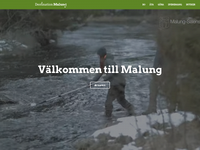 destinationmalung.se snapshot