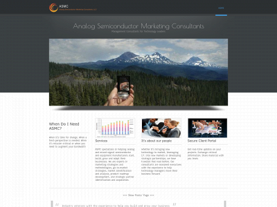 asmconsultantsllc.com snapshot
