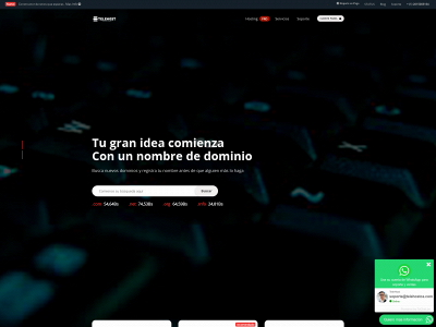 telehostca.com snapshot