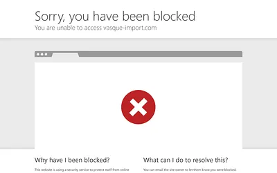 www.vasque-import.com snapshot
