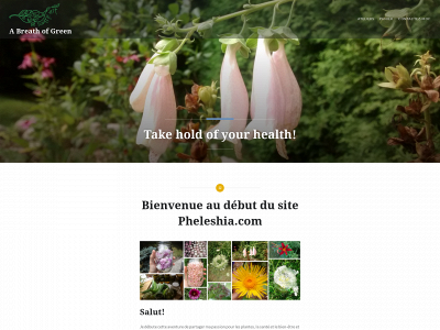 unsoufflevert.com snapshot