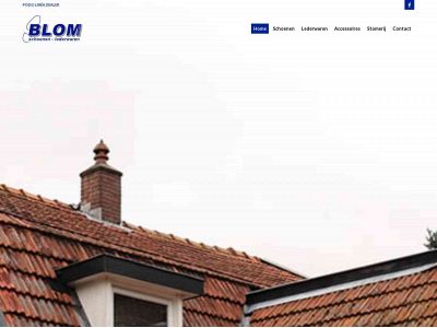 blomorthopedie.nl snapshot