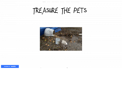 treasurethepets.weebly.com snapshot