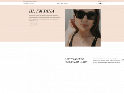 dinaandersen.co snapshot