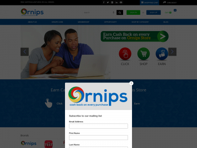 ornips.com.ng snapshot