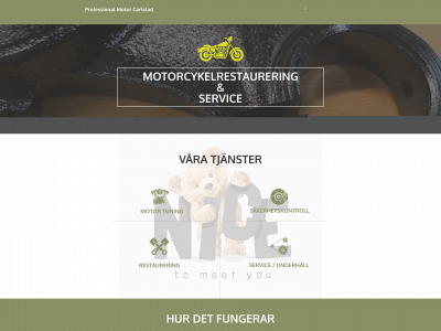 professionalmc.se snapshot