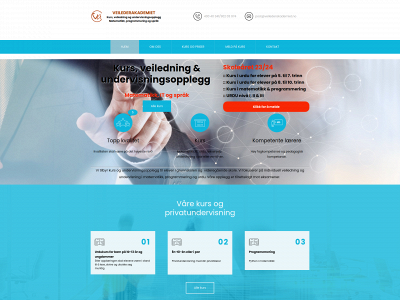 veilederakademiet.no snapshot