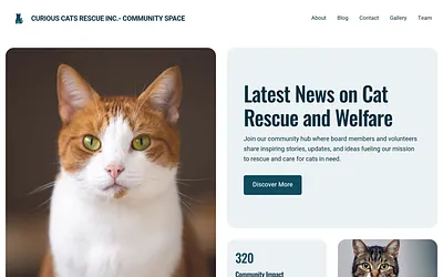 cc-rescueinc.space snapshot