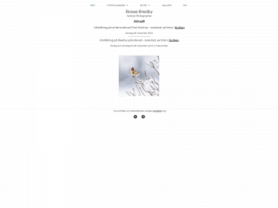 broadvillage.se snapshot