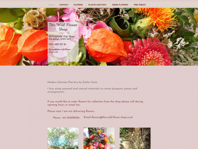 the-wild-flower-shop.co.uk snapshot