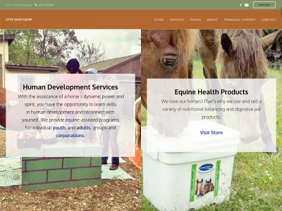 www.littleoasisequine.com snapshot