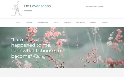 delevensdans.be snapshot