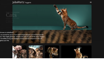 jubalkatz.com snapshot